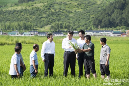 习近平在延边调研4.jpg