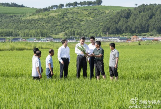 习近平在延边调研3.jpg