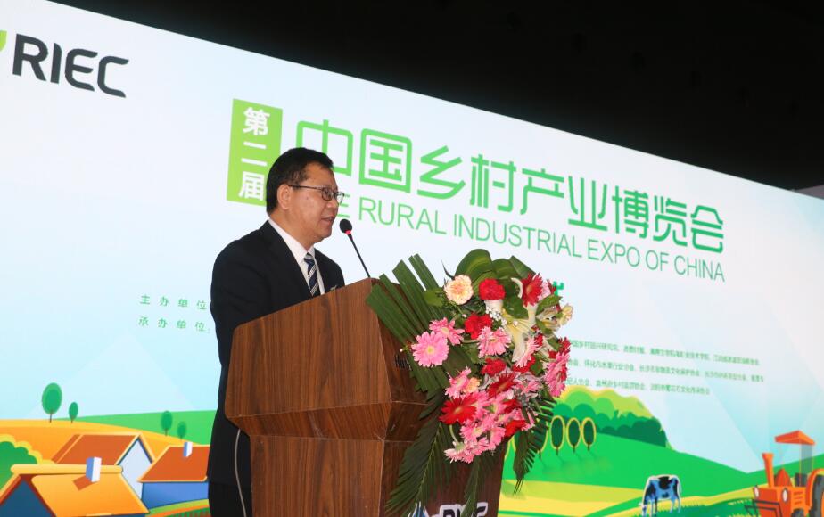 纳绍平.jpg