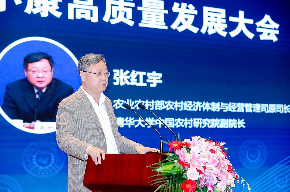 张红宇.jpg