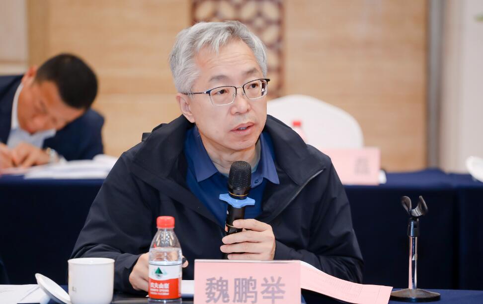 魏鹏举1.jpg