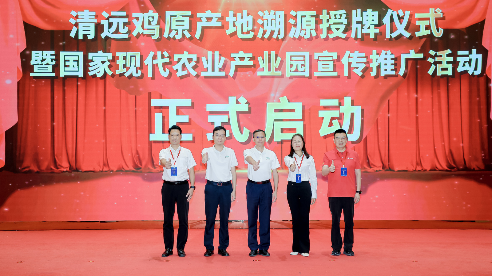 清远鸡启动.jpg