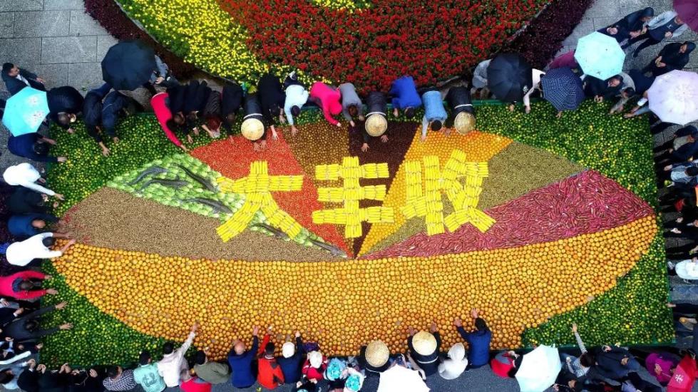 丰收节.jpg
