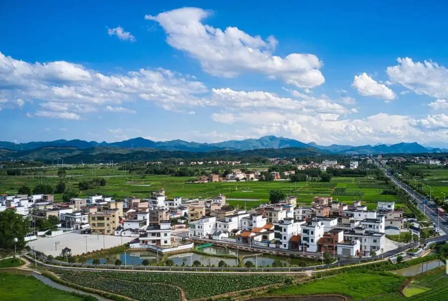城镇化.jpg