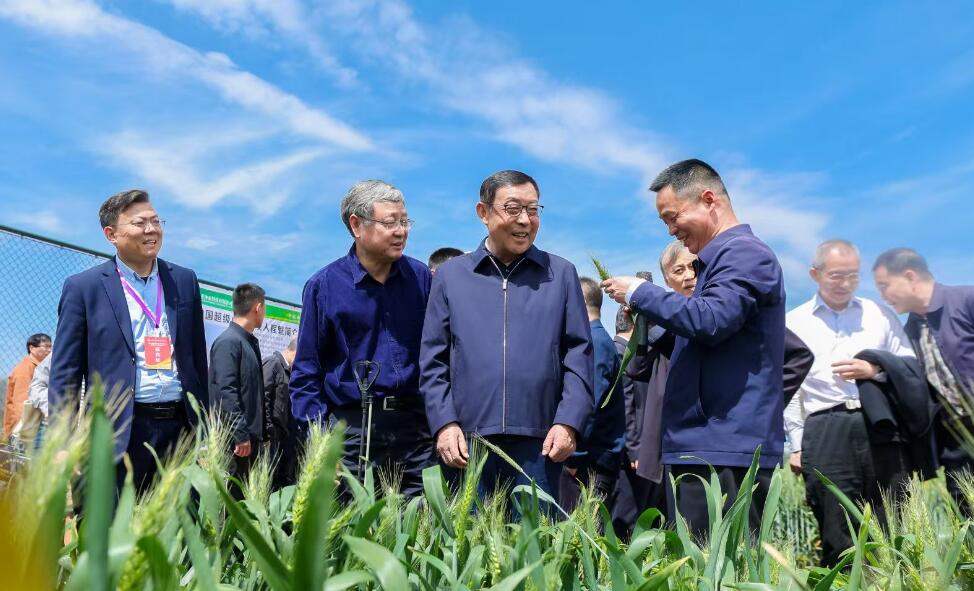 调研2.jpg
