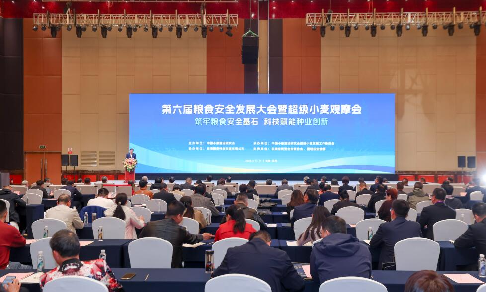 大会现场.jpg